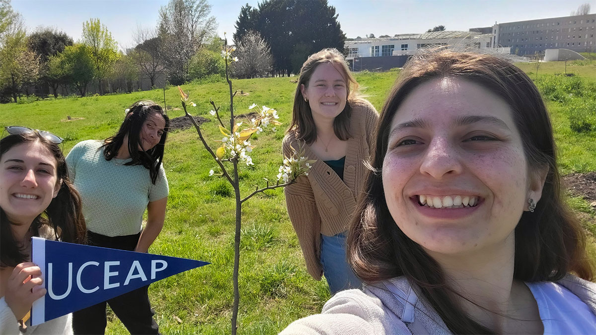 UCEAP students planting a sapling.